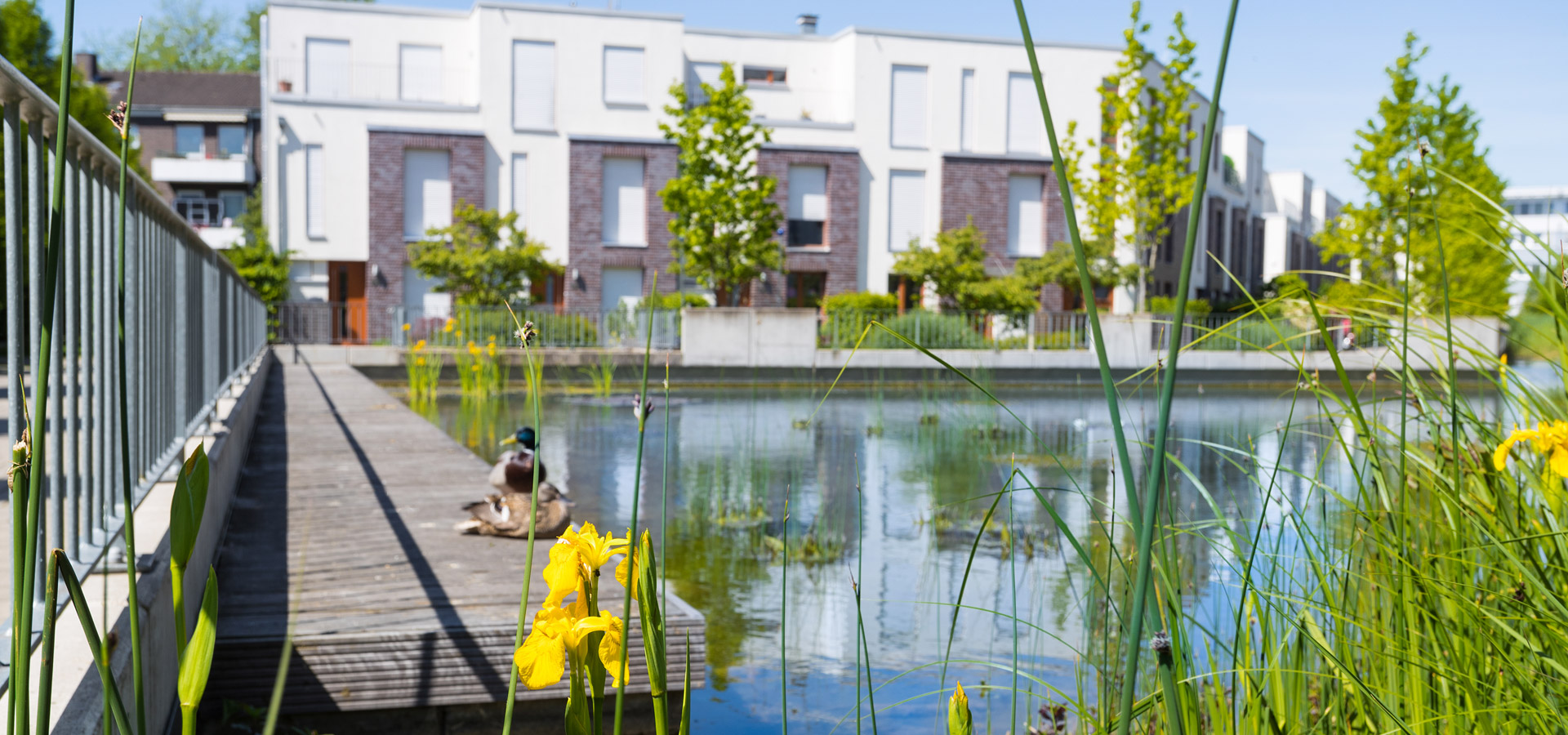 Gartenhof Ksters - Schanzenstr. 99, Dsseldorf